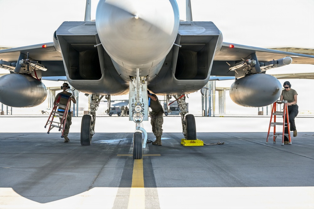 15Cs train with F-15Es at Mountain Home AFB