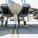 15Cs train with F-15Es at Mountain Home AFB