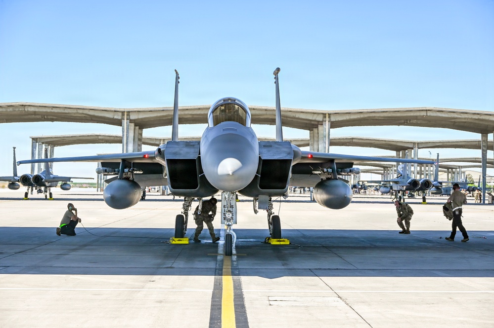 15Cs train with F-15Es at Mountain Home AFB