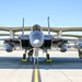 15Cs train with F-15Es at Mountain Home AFB