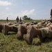 Officer candidates in phase 1 of the 1st Battalion, 235th Regiment Officer Candidate School