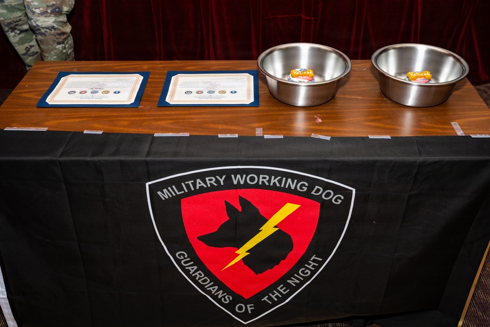Military Working Dog Retirement Ceremony Honors CCoolahan and PPuritan