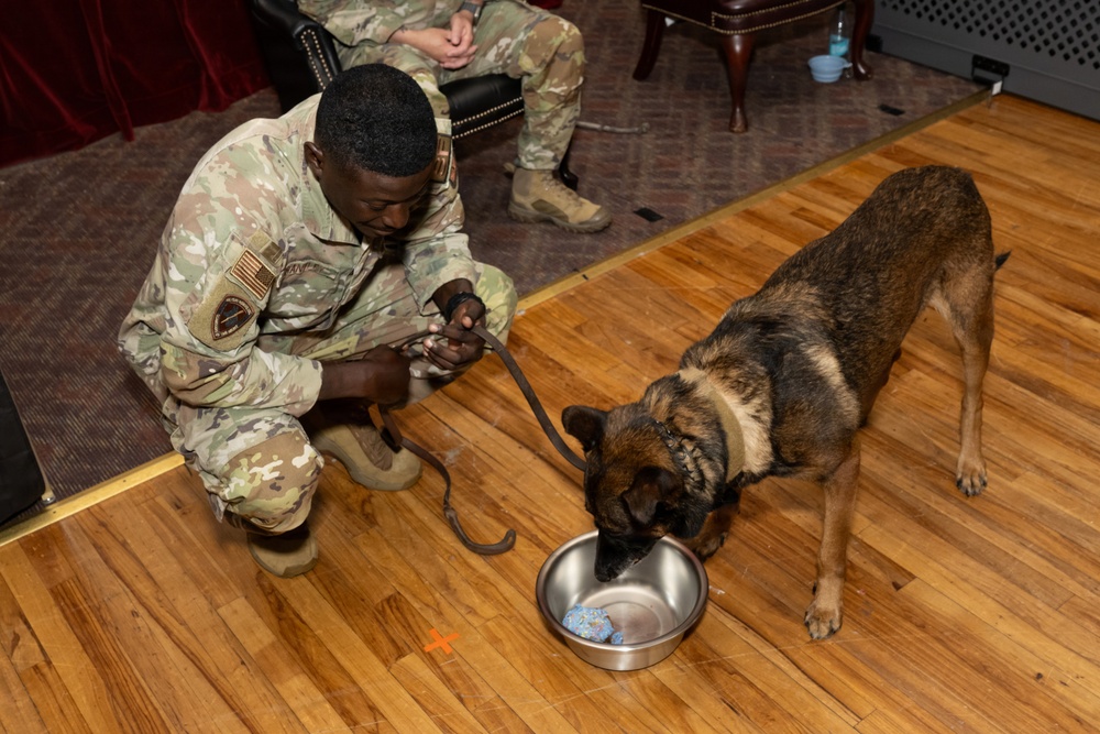 Military Working Dog Retirement Ceremony Honors CCoolahan and PPuritan