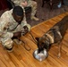 Military Working Dog Retirement Ceremony Honors CCoolahan and PPuritan