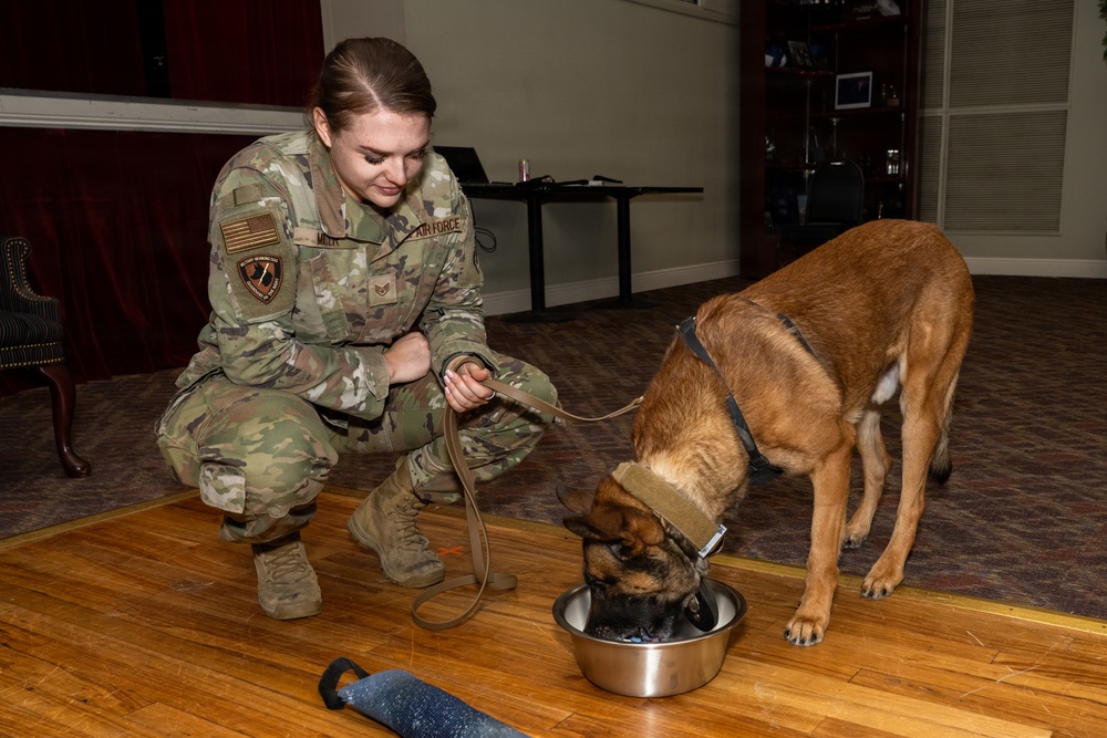 Military Working Dog Retirement Ceremony Honors CCoolahan and PPuritan