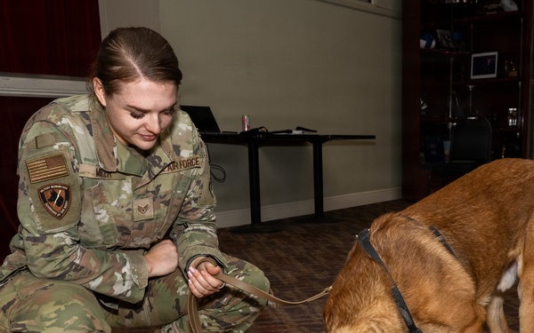 Military Working Dog Retirement Ceremony Honors CCoolahan and PPuritan