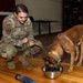 Military Working Dog Retirement Ceremony Honors CCoolahan and PPuritan