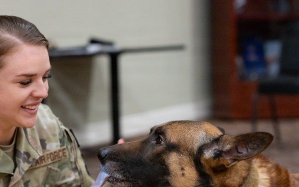 Military Working Dog Retirement Ceremony Honors CCoolahan and PPuritan