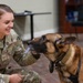Military Working Dog Retirement Ceremony Honors CCoolahan and PPuritan