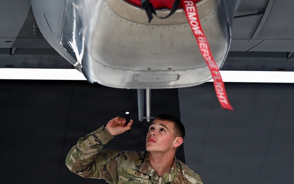 Kentucky Airmen, Danish Defence forces conduct bilateral training