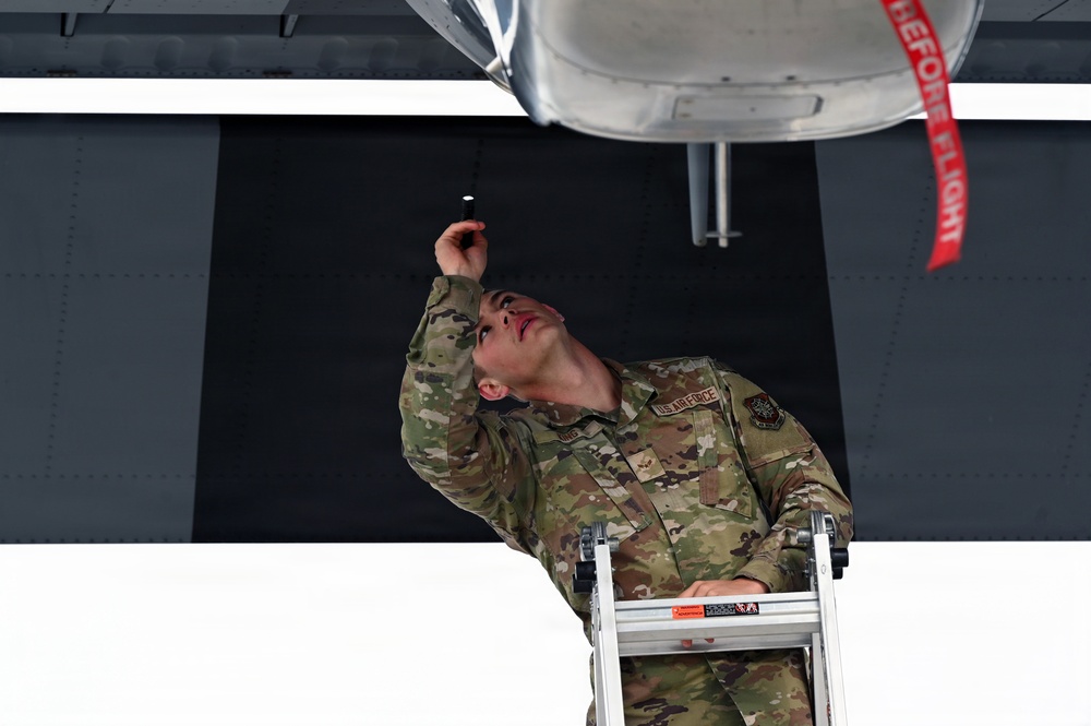 Kentucky Airmen, Danish Defence forces conduct bilateral training