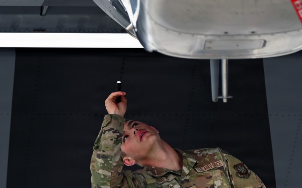 Kentucky Airmen, Danish Defence forces conduct bilateral training