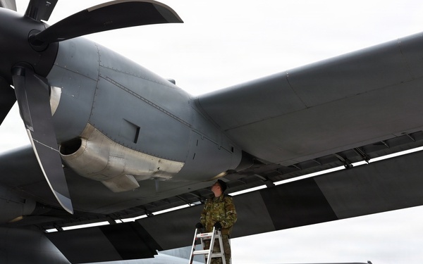 Kentucky Airmen, Danish Defence forces conduct bilateral training