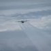 Kentucky Airmen, Danish Defence forces conduct noncombatant evacuation operation exercise