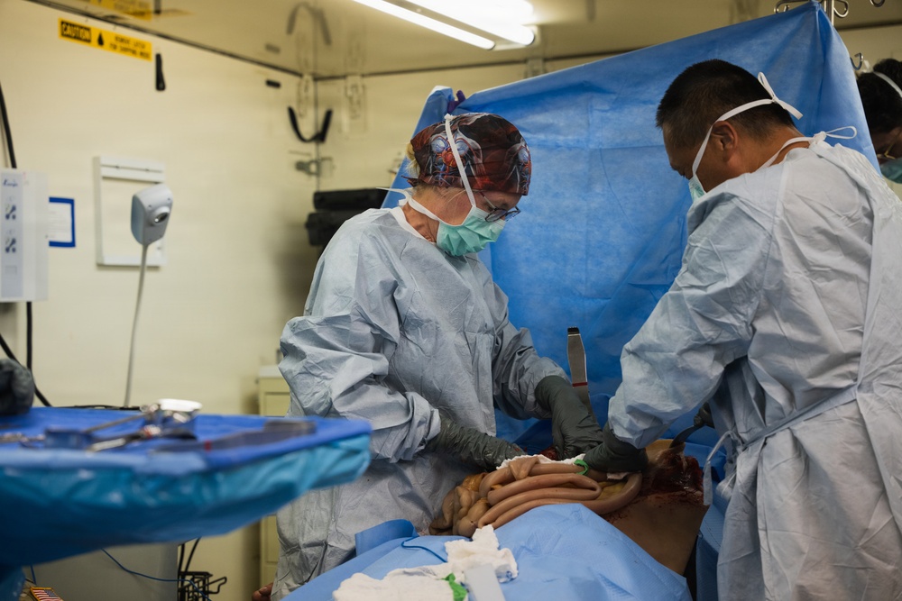 US Reserve Soldiers Treat a Simulated Casualty