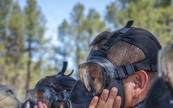 198th RSG Conducts STX Lanes
