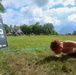 NTAG New England participates in Spartan Race