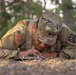 198th RSG Conducts Land Navigation Exercise