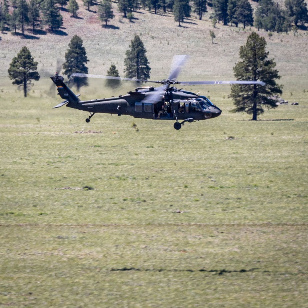 198th RSG Conducts Vertical Lift Exercise