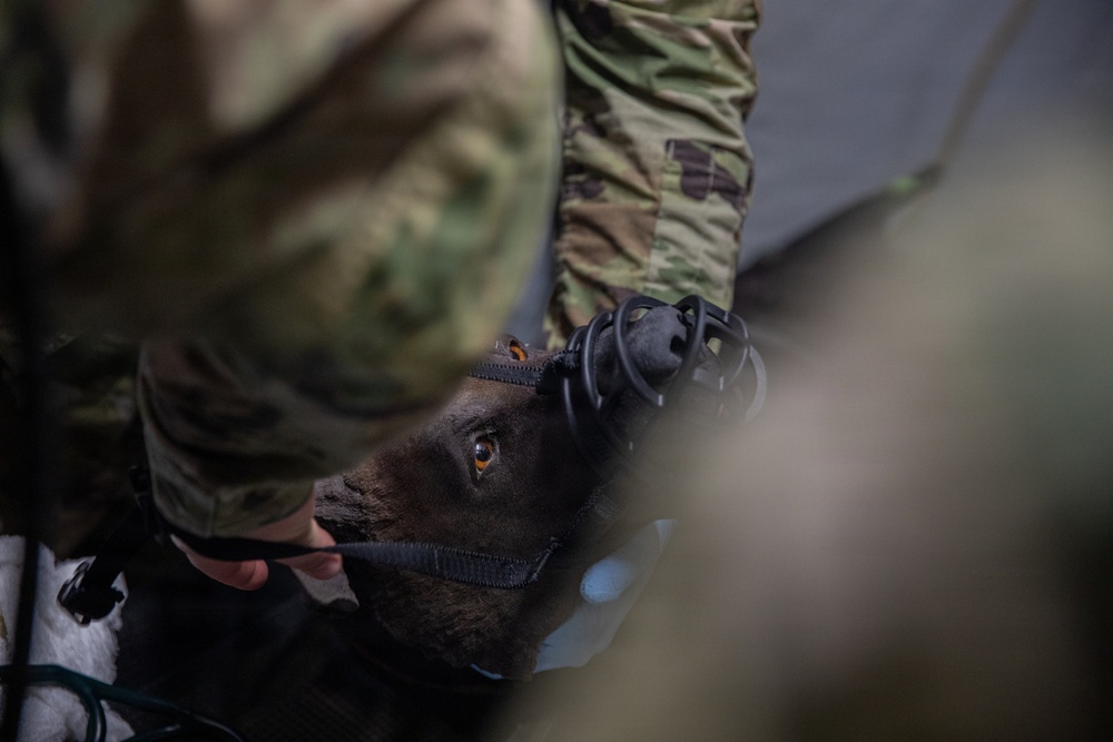 409th MCAS Mass Casualty
