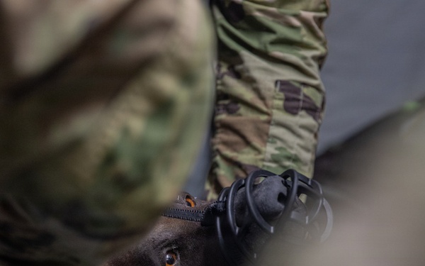 409th MCAS Mass Casualty