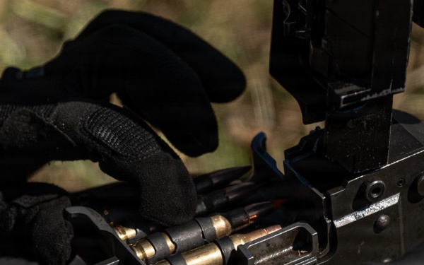 U.S. Marines demonstrate lethality on machine gun range in Romania