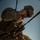 U.S. Marines and Romanian emergency responders conduct casualty evacuation drill during Sea Breeze 26