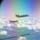 U.S. Marines conduct air to air refueling during exercise Ramstein Flag 2026 in Finland