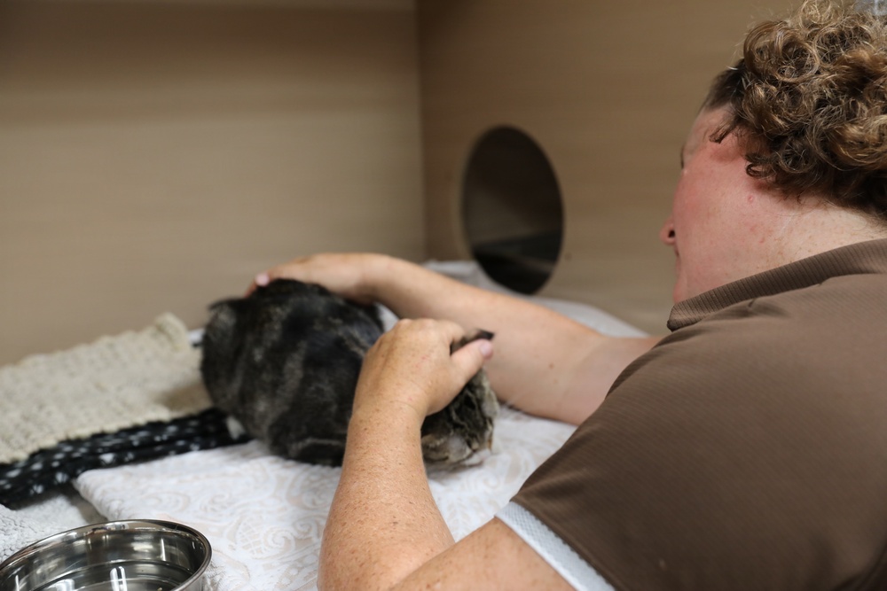 Army Reserve Soldiers Lend a Hand at Birmingham Humane Society