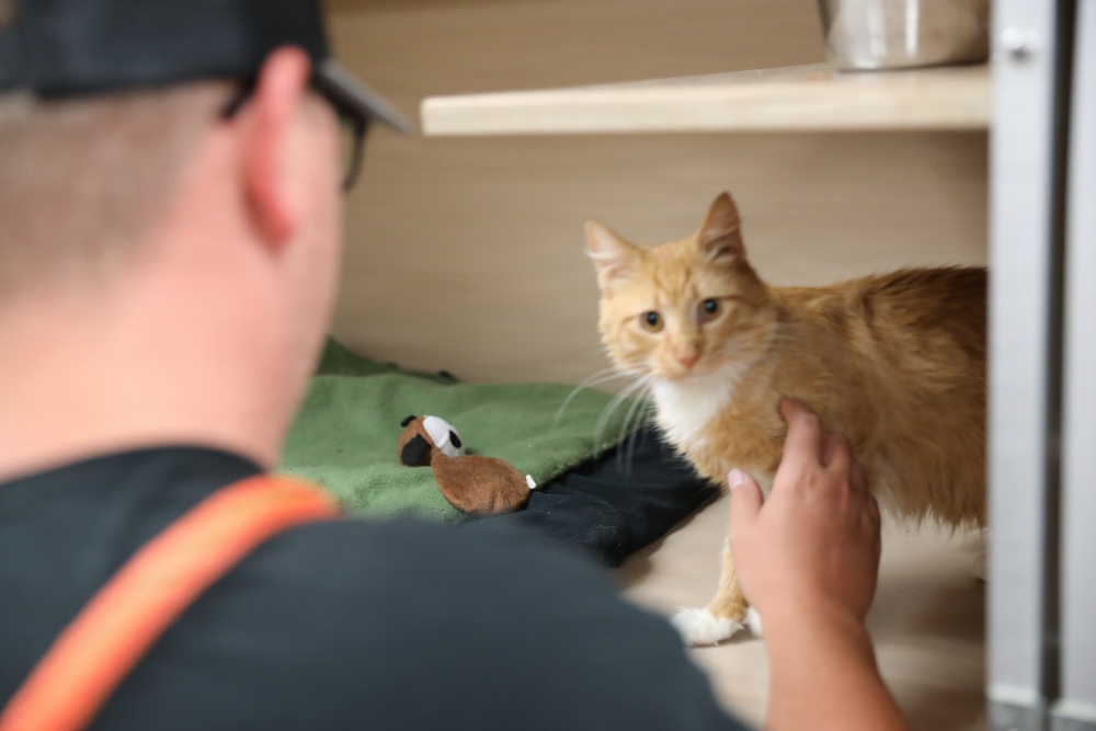 Army Reserve Soldiers Lend a Hand at Birmingham Humane Society