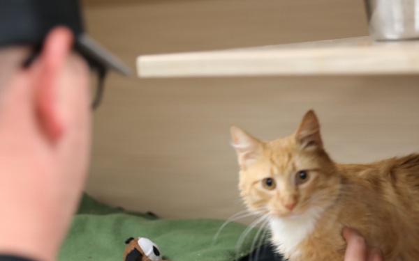 Army Reserve Soldiers Lend a Hand at Birmingham Humane Society