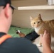 Army Reserve Soldiers Lend a Hand at Birmingham Humane Society