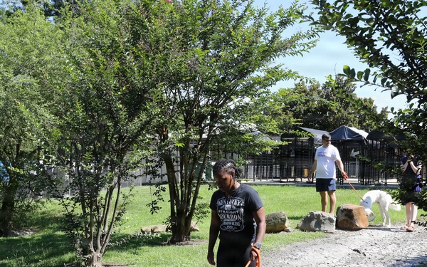 Army Reserve Soldiers Lend a Hand at Birmingham Humane Society