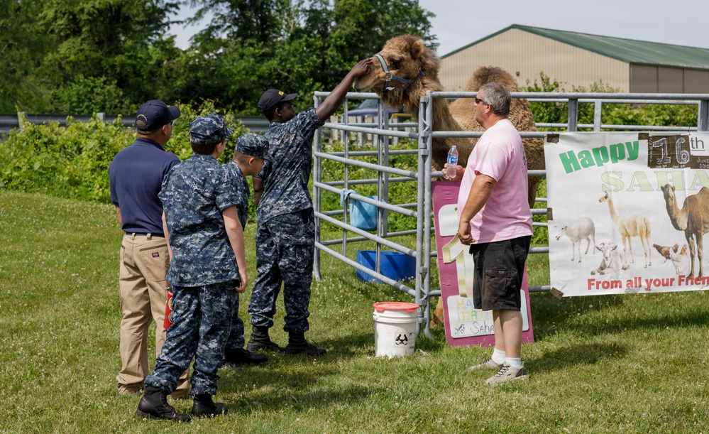 Petting Zoo on Post