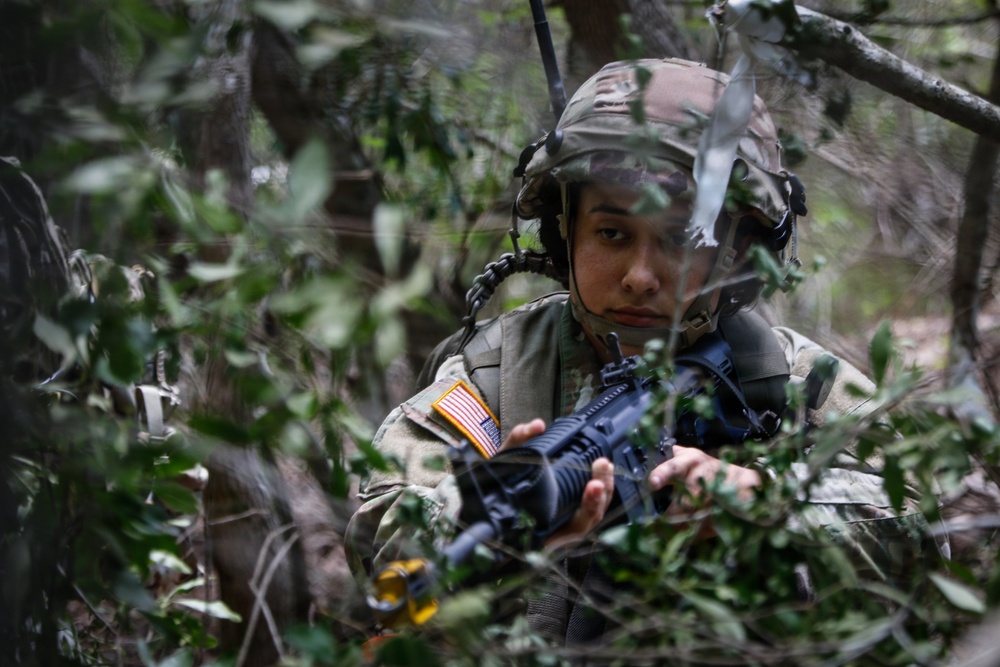 Operation Sentinel Justice