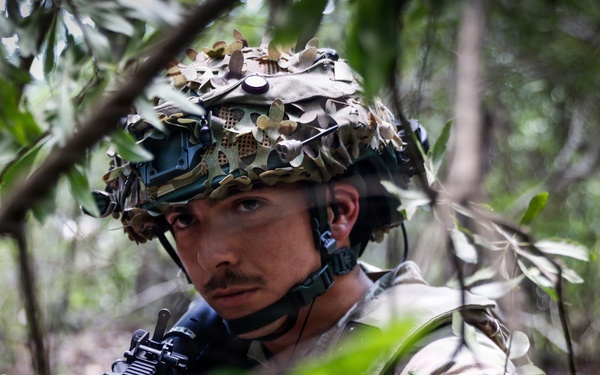 Operation Sentinel Justice