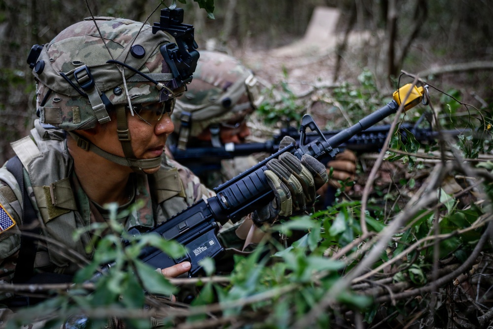 Operation Sentinel Justice