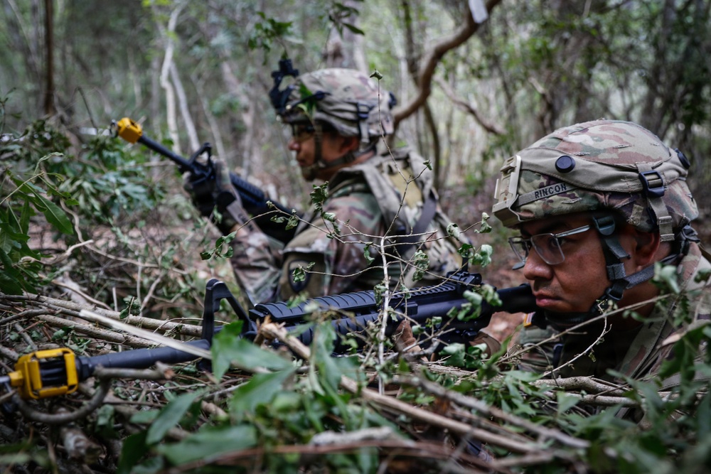 Operation Sentinel Justice