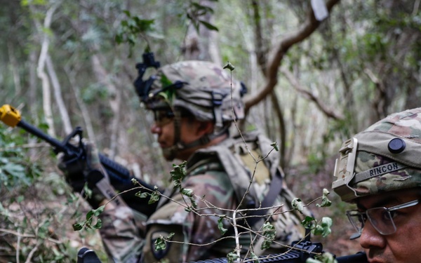 Operation Sentinel Justice