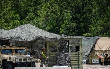 Operation Sentinel Justice