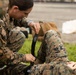 U.S. Marines Conduct Tactical Combat Casualty Care with Philippine Marines