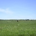 260th Combat Airfield Operations Squadron Conducts Operation Northern Phoenix