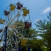 JB MDL to host Summer Fest 2026