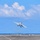 Nimitz Conducts Flight Operations Nimitz Conducts Flight Operations