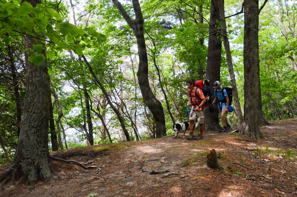 Nordhouse Dunes Wilderness Recreation