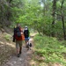 Nordhouse Dunes Wilderness Recreation