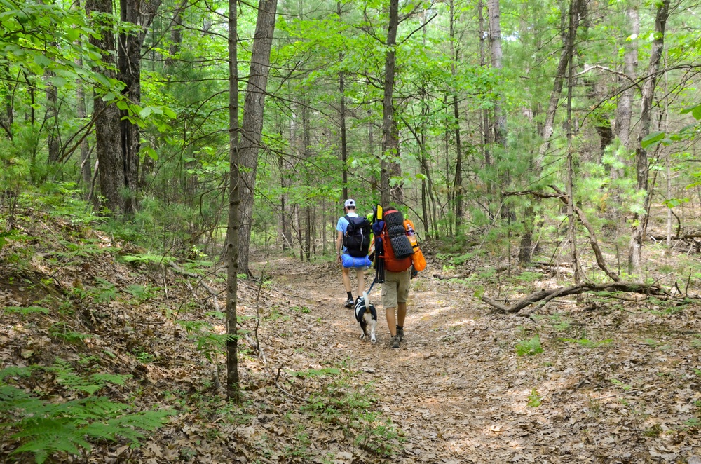 Nordhouse Dunes Wilderness Recreation