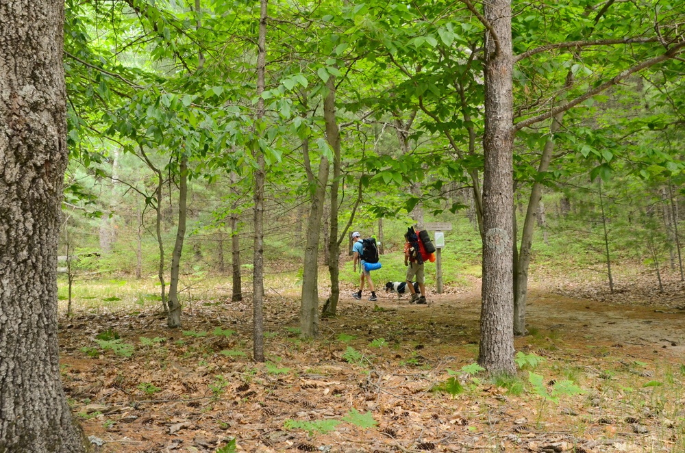 Nordhouse Dunes Wilderness Recreation