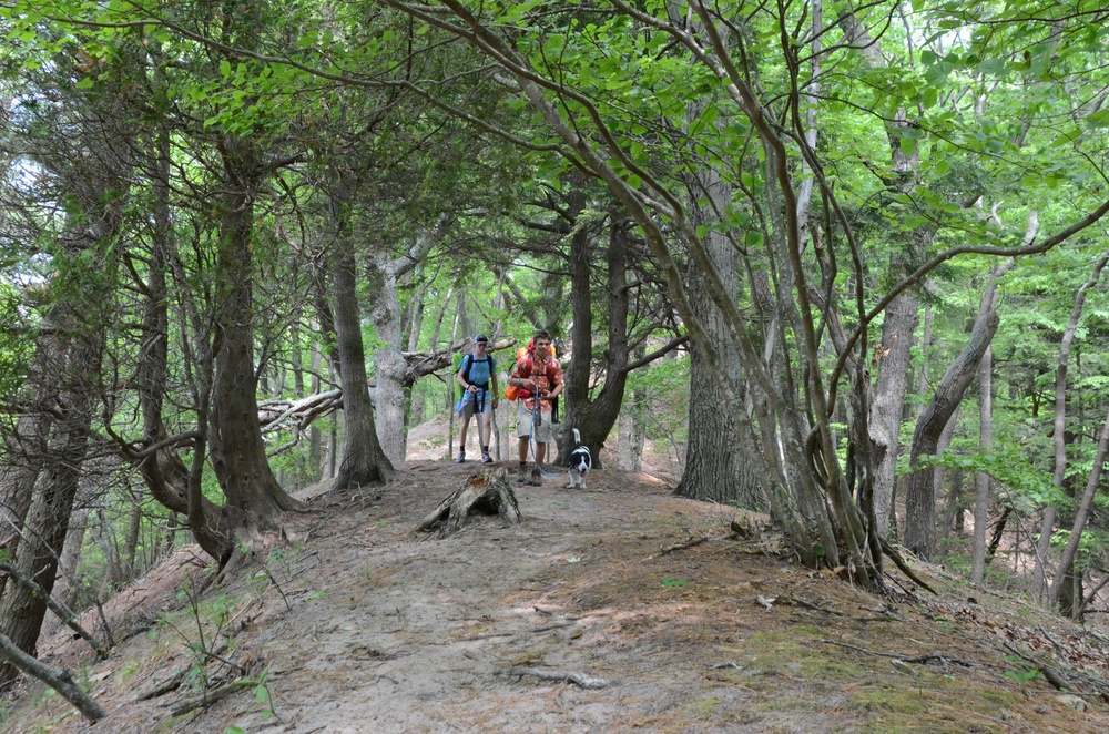 Nordhouse Dunes Wilderness Recreation
