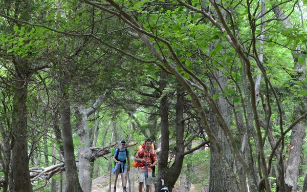Nordhouse Dunes Wilderness Recreation